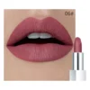 Rouge à lèvres mat waterproof Pudaier