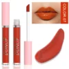 Glaze Miroir Rose Nude Brun 16 Couleurs Gloss à Lèvres