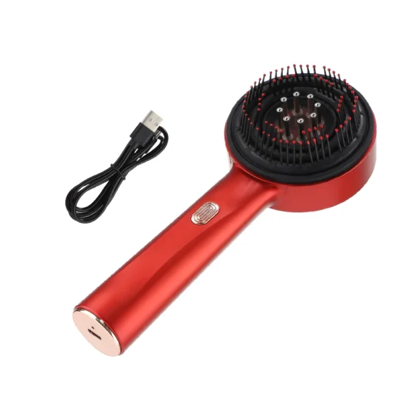 Brosse de massage du cuir pour la croissance des cheveux