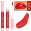 Glaze Miroir Rose Nude Brun 16 Couleurs Gloss à Lèvres
