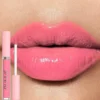 Glaze Miroir Rose Nude Brun 16 Couleurs Gloss à Lèvres