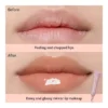 Gloss hydratants effet miroir longue tenue