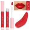 Glaze Miroir Rose Nude Brun 16 Couleurs Gloss à Lèvres