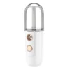 Vaporisateur facial hydratant nano-pulvérisateur