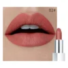 Rouge à lèvres mat waterproof Pudaier