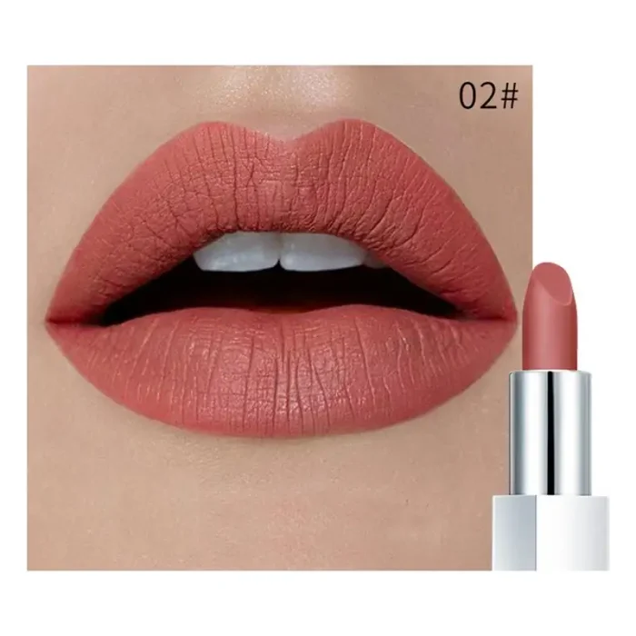 S2cfd062a94de483795385ef971a55e65h.webp Rouge à lèvres mat waterproof Pudaier