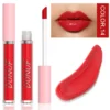 Glaze Miroir Rose Nude Brun 16 Couleurs Gloss à Lèvres