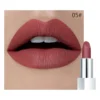 Rouge à lèvres mat waterproof Pudaier
