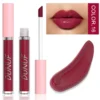 Glaze Miroir Rose Nude Brun 16 Couleurs Gloss à Lèvres