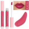 Glaze Miroir Rose Nude Brun 16 Couleurs Gloss à Lèvres