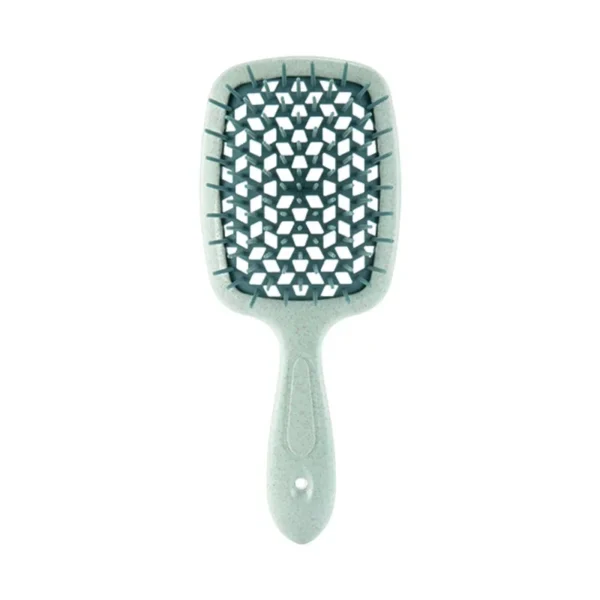 Brosse plastique de massage du cuir