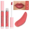 Glaze Miroir Rose Nude Brun 16 Couleurs Gloss à Lèvres