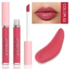 Glaze Miroir Rose Nude Brun 16 Couleurs Gloss à Lèvres