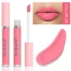 Glaze Miroir Rose Nude Brun 16 Couleurs Gloss à Lèvres