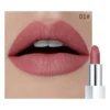Rouge à lèvres mat waterproof Pudaier