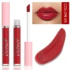 Glaze Miroir Rose Nude Brun 16 Couleurs Gloss à Lèvres