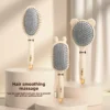 Brosse à coussin d'air mignon pour femmes