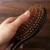 Brosse à coussin d'air en bois de santal