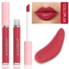 Glaze Miroir Rose Nude Brun 16 Couleurs Gloss à Lèvres