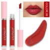 Glaze Miroir Rose Nude Brun 16 Couleurs Gloss à Lèvres