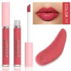 Glaze Miroir Rose Nude Brun 16 Couleurs Gloss à Lèvres