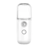 Humidificateur d'air pour voiture Nano Sprayer Facial