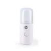 Vaporisateur facial USB rechargeable pour visage