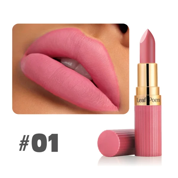 Rouge à lèvres mat 6 couleurs, gloss velours brun foncé