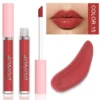 Glaze Miroir Rose Nude Brun 16 Couleurs Gloss à Lèvres